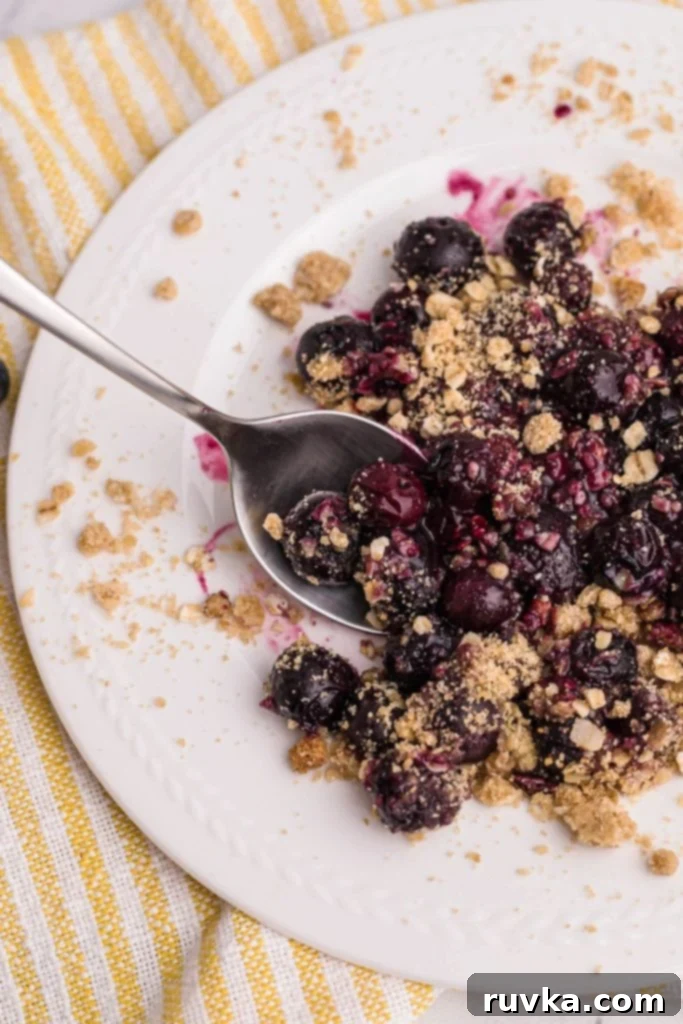 Easy Air Fryer Blueberry Crisp 2 Delicious Air Fryer Blueberry Crisp with a spoonful of blueberries on a white plate, topped with vanilla ice cream