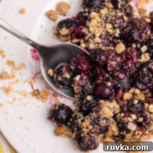 Easy Air Fryer Blueberry Crisp 11 Air Fryer Blueberry Crisp with a scoop of ice cream on top