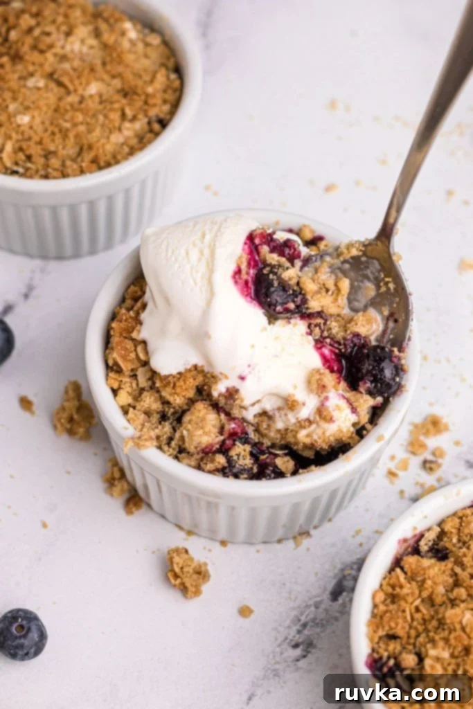 Easy Air Fryer Blueberry Crisp 9 Individual ramekin filled with warm blueberry crisp, generously topped with a scoop of melting vanilla ice cream.