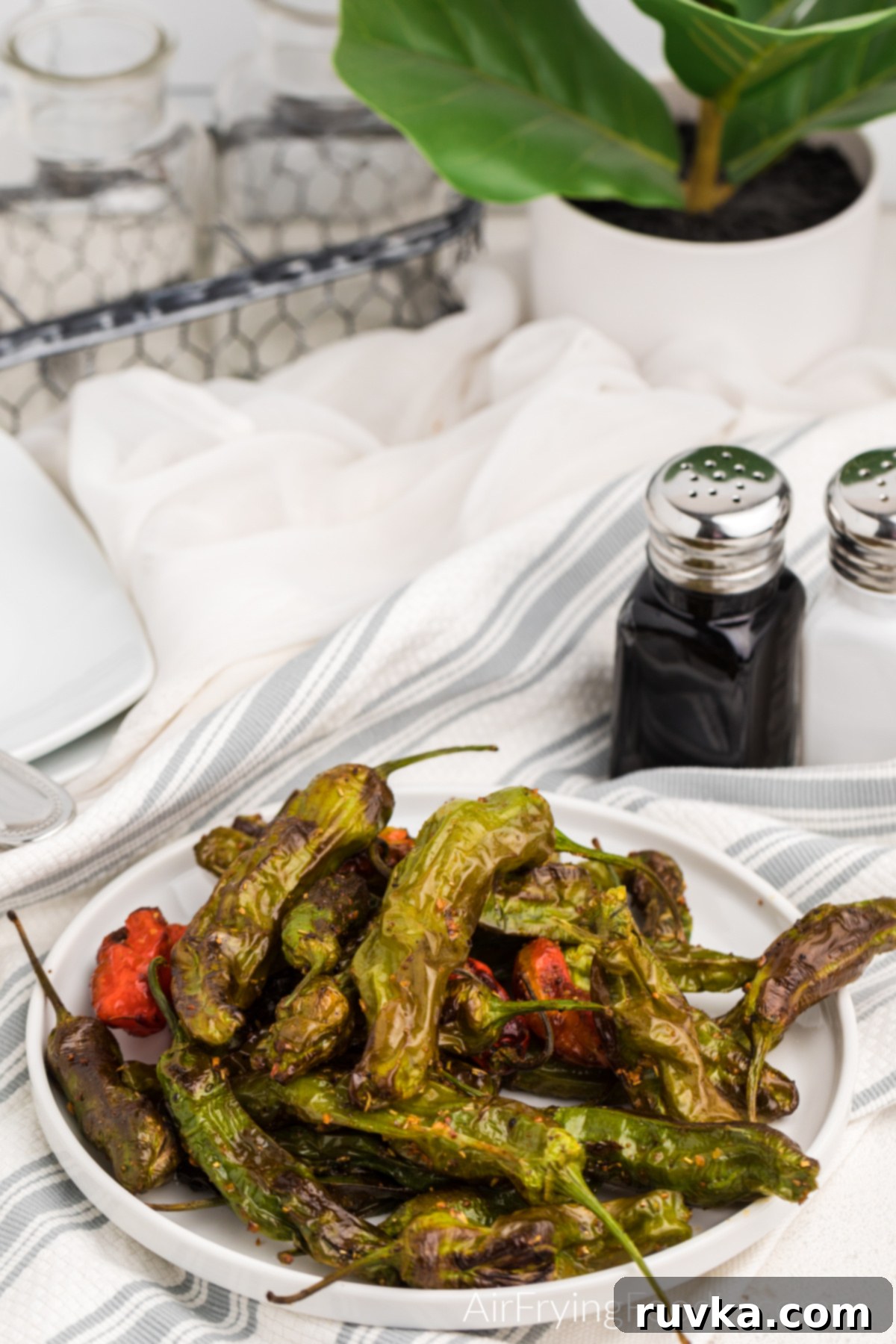 Crispy Air Fryer Shishito Peppers 6 Air fried shishito peppers on a white plate ready to serve.