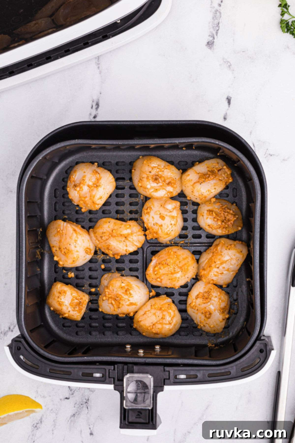 Crispy Air Fryer Scallops 5 Uncooked seasoned sea scallops in an air fryer basket before being cooked.