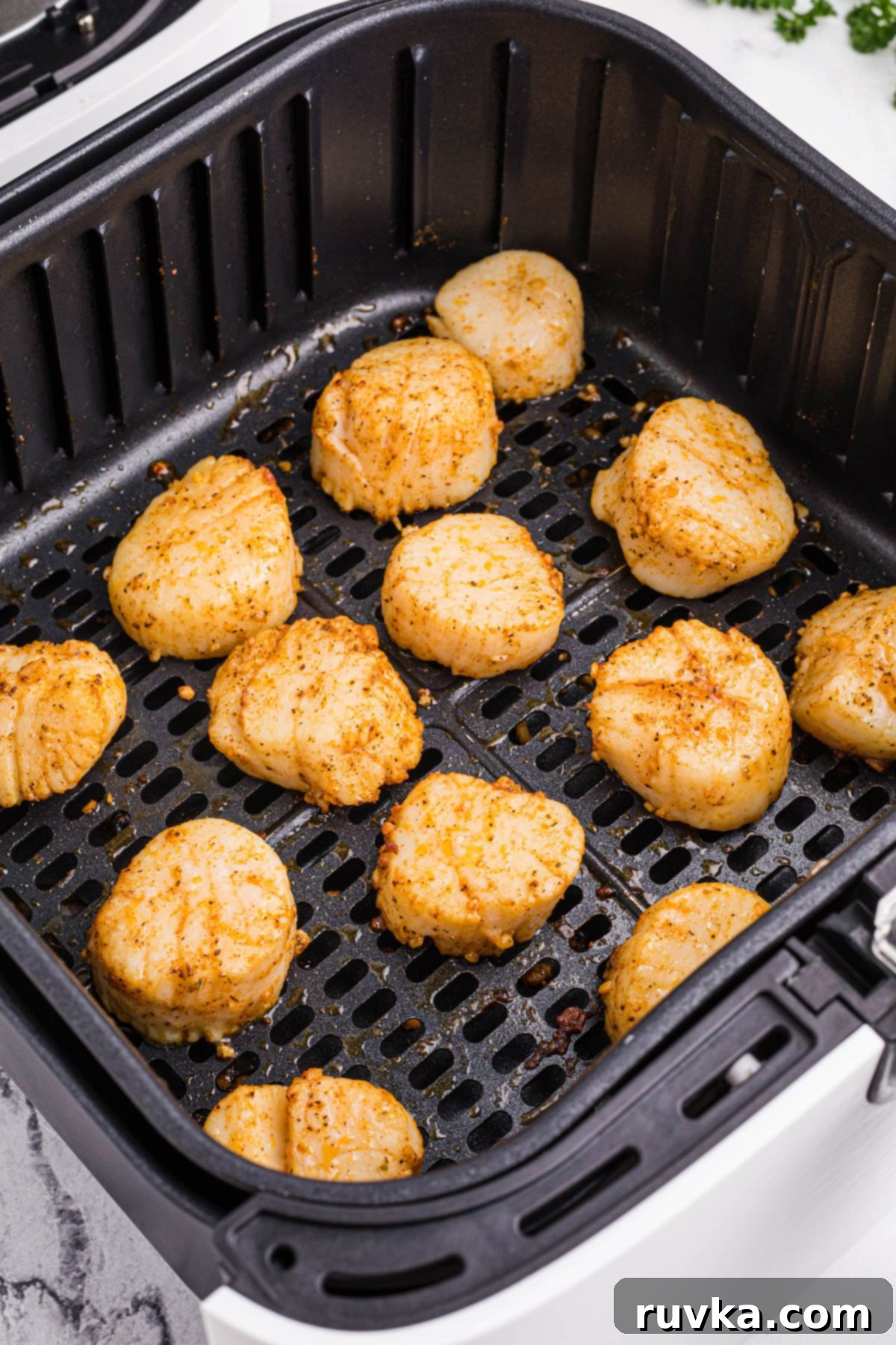 Crispy Air Fryer Scallops 6 Juicy seasoned cooked sea scallops in an air fryer basket.