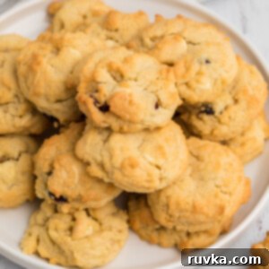 Easy Air Fryer Christmas Cookies 11 Overhead photo of Air Fryer Cranberry White Chocolate Chip Cookies served on a white plate, vibrant and inviting.