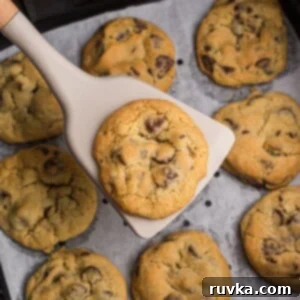 Easy Air Fryer Christmas Cookies 12 A freshly baked chocolate chip cookie resting on a spatula over an air fryer basket, showing its warm and gooey center.