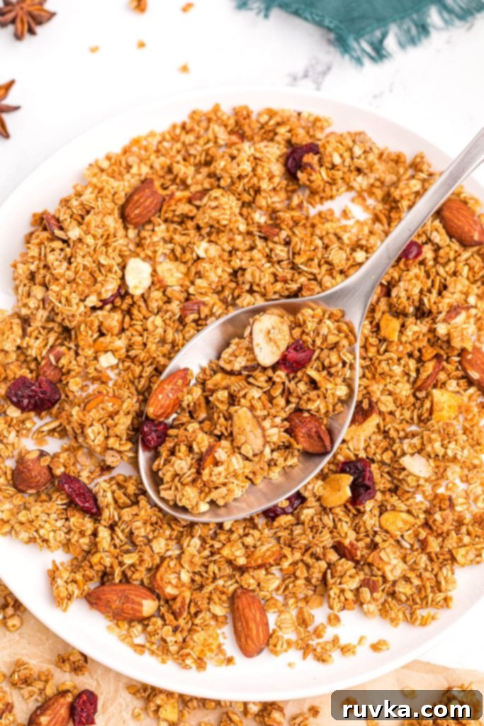 Easy Air Fryer Granola 8 Spoonful of golden crispy granola mixed with nuts and dried fruit in a white bowl.