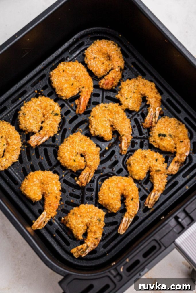 Crispy Air Fryer Breaded Shrimp 8 Golden breaded shrimp in the air fryer basket after being cooked.