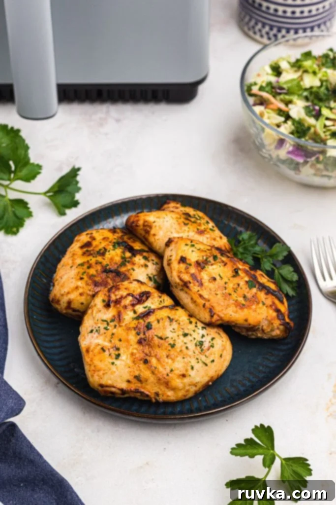 Tender Air Fryer Yogurt Chicken 2 Golden juicy marinated cooked chicken on a blue plate, with parsley garnish.