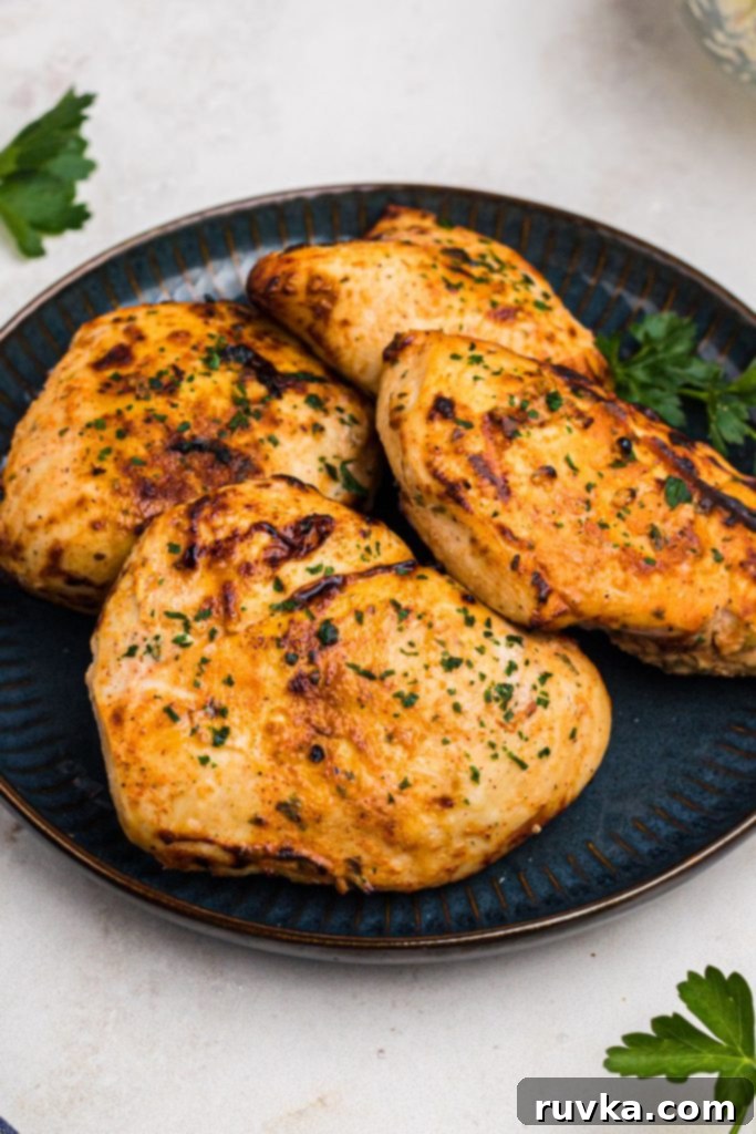 Tender Air Fryer Yogurt Chicken 7 Golden juicy seasoned chicken breasts on a blue plate with parsley garnish.