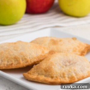 Air Frying Made Simple 16 Easy 2-ingredient Air Fryer Apple Hand Pies.