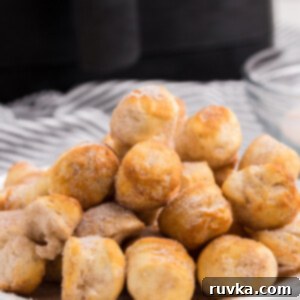 Air Frying Made Simple 7 Delicious Air Fryer Donut Holes made quickly with biscuit dough.