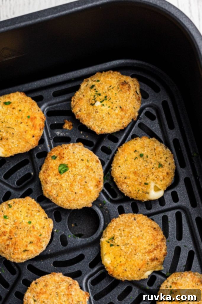 Crispy Air Fried Babybel 7 Golden breaded cheese rounds in the air fryer basket after being air friend.
