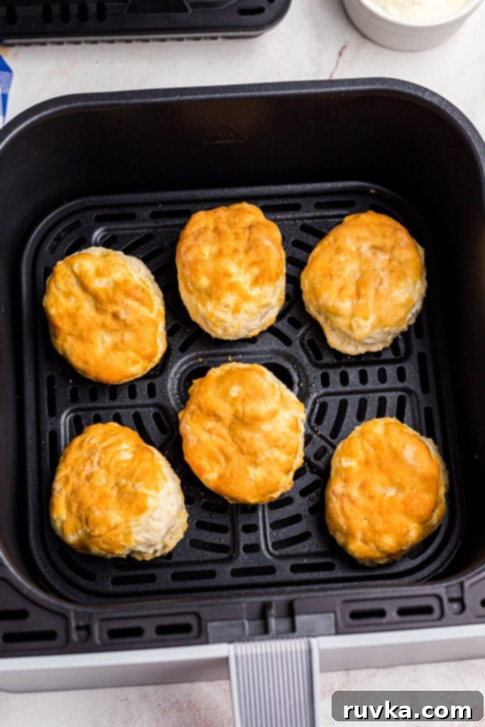 Easy Air Fryer Frozen Biscuits 5 Golden biscuits in the air fryer basket after being cooked.