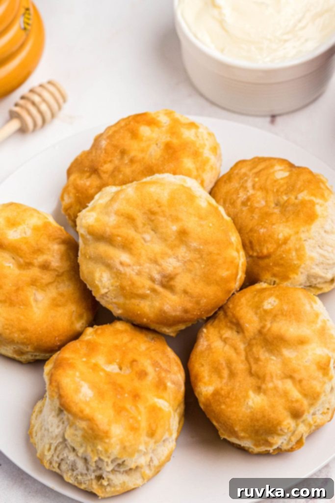 Easy Air Fryer Frozen Biscuits 7 Golden fluffy biscuits on a small white plate with butter on the table.