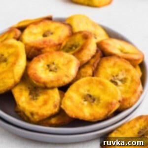 Sweet & Crispy Air Fryer Plantains 8 Golden plantain slices on a small plate in front of the air fryer.