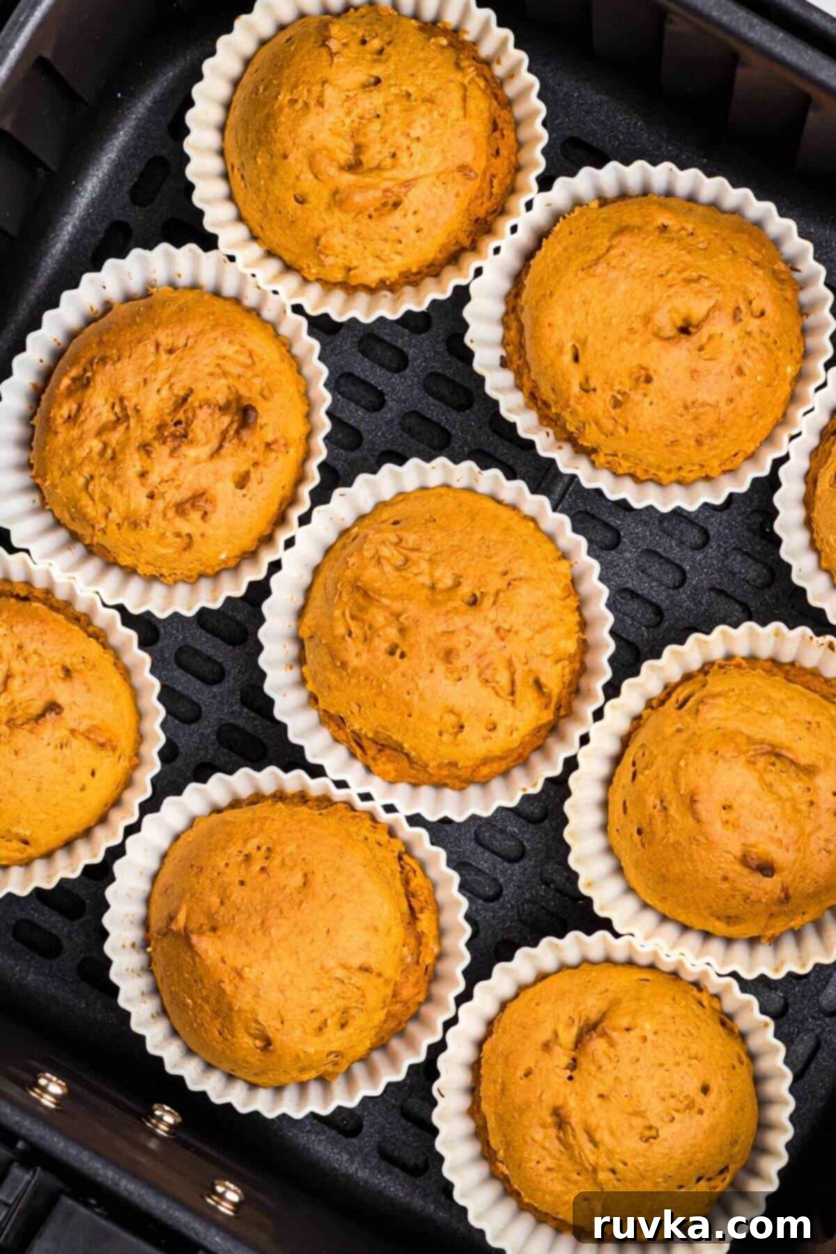 Easy Air Fryer 2 Ingredient Pumpkin Muffins 8 Pumpkin muffins in silicone liners in the air fryer basket after being cooked.