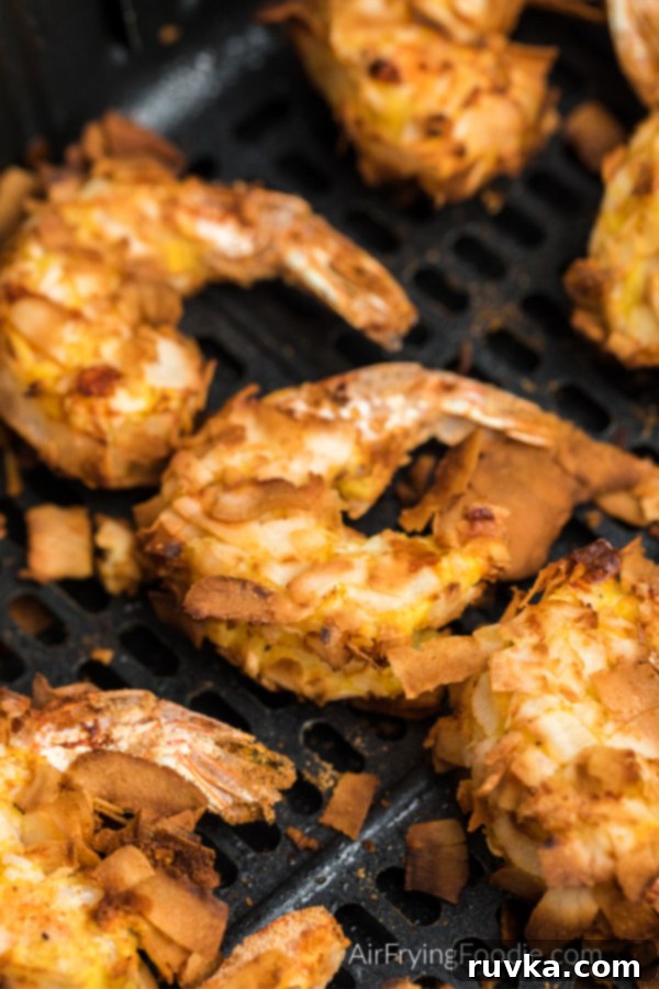 Crispy Air Fryer Keto Coconut Shrimp 9 Cooked Coconut Shrimp in the basket of the air fryer.