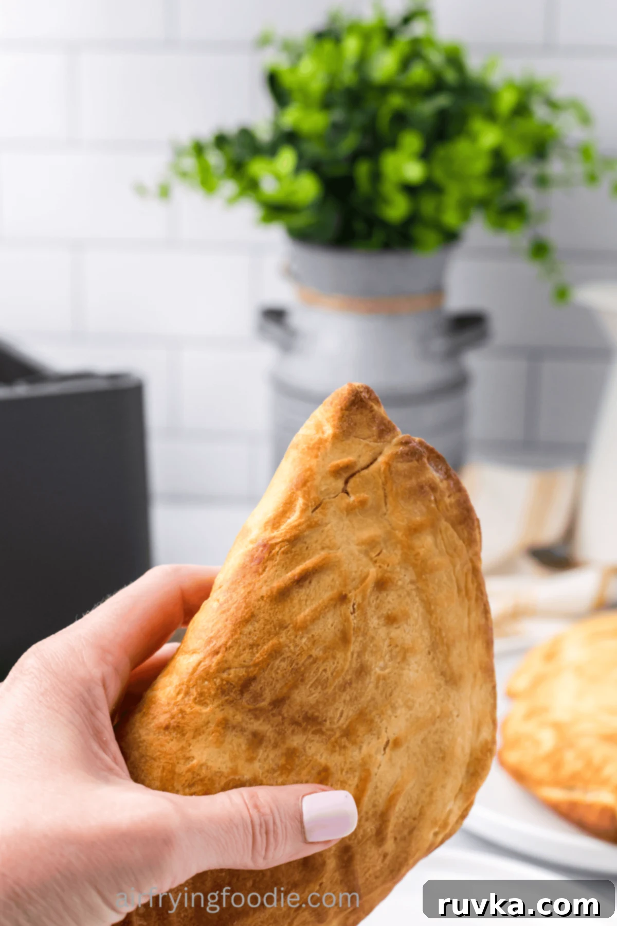 Air-Fried Calzone Pockets 2 Hand holding a homemade air fryer calzone.