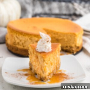 Air Fryer Pumpkin Cheesecake 14 Slice of air fryer pumpkin cheesecake on a white plate ready to eat.