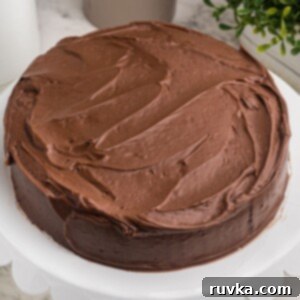Quick and Delicious Air Fryer Cake 9 Chocolate round cake, frosted with chocolate frosting on a white cake stand, ready to serve from an Air Fryer