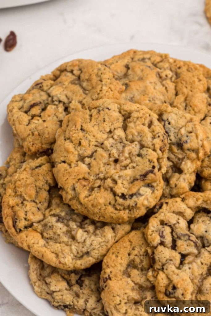 Easy Air Fryer Oatmeal Raisin Cookies 2 Golden oatmeal raisin cookies stacked on a white plate