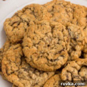 Easy Air Fryer Oatmeal Raisin Cookies 10 img 6894 13