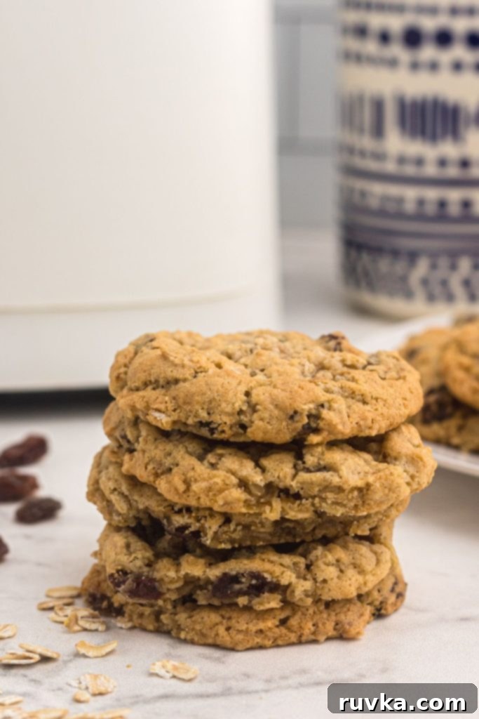 Easy Air Fryer Oatmeal Raisin Cookies 8 Golden oatmeal raisin cookies stacked in front of the air fryer