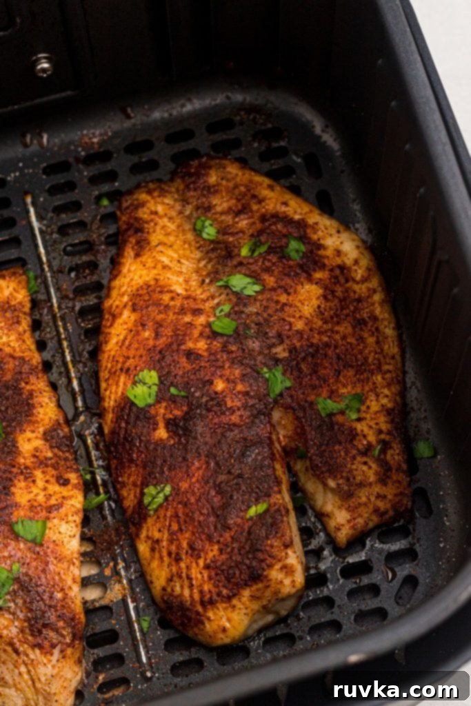 Crispy Air Fryer Tilapia 7 Air fryer tilapia, cooked and golden, seasoned and garnished with parsley flakes in air fryer basket.