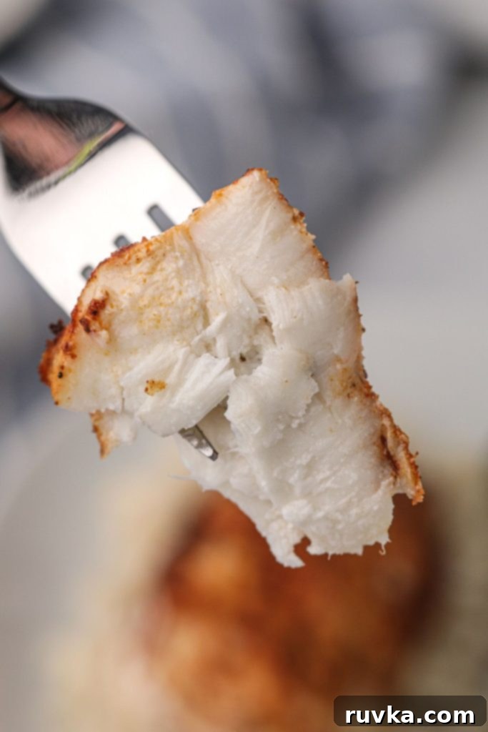 Perfect Air Fryer Halibut 8 Flaky piece of halibut on a fork after being cooked in the air fryer, showing its tender texture.