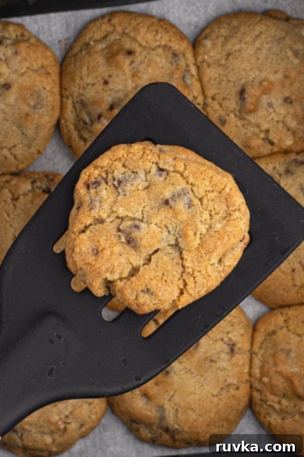 Air Fryer DoubleTree Delights 4 Baked cookie on a black spatula.