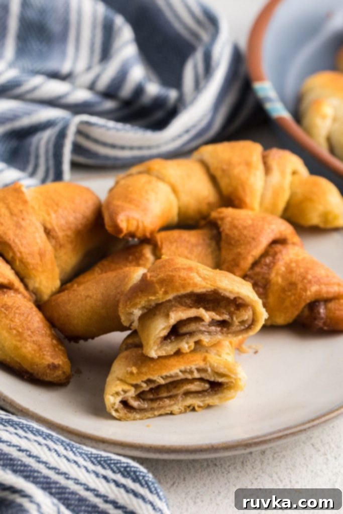 Quick Air Fryer Cinnamon Crescent Rolls 2 Golden Cinnamon, sugar, and butter filled crescent rolls on a white plate