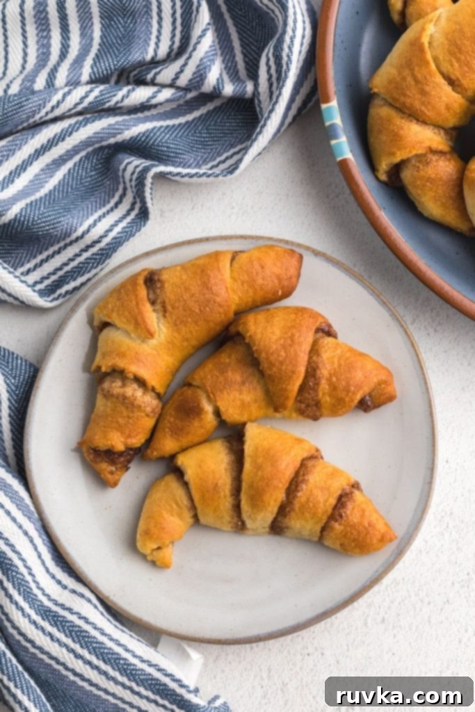 Quick Air Fryer Cinnamon Crescent Rolls 8 Golden cinnamon and sugar filled crescent rolls after being cooked in the air fryer on a white plate