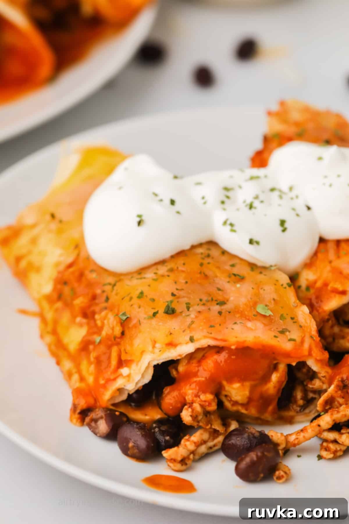 Easy Air Fryer Enchiladas 9 Close up of chicken enchiladas made in the air fryer.