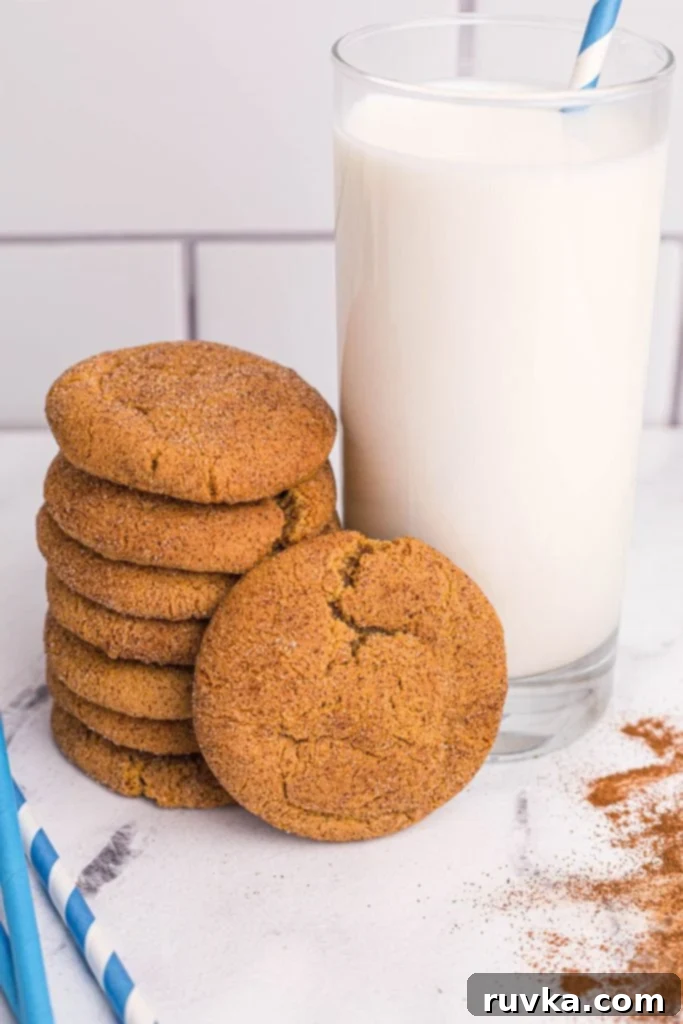 Golden Spiced Air Fryer Snaps 2 Golden gingersnaps coated in sugar and cinnamon stacked next to a large glass of milk with blue straws