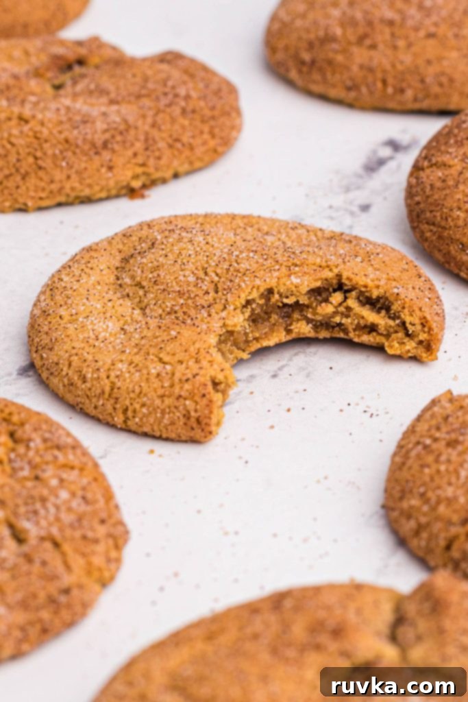 Golden Spiced Air Fryer Snaps 11 Close up bite shot of gingersnap cookie on white marble table